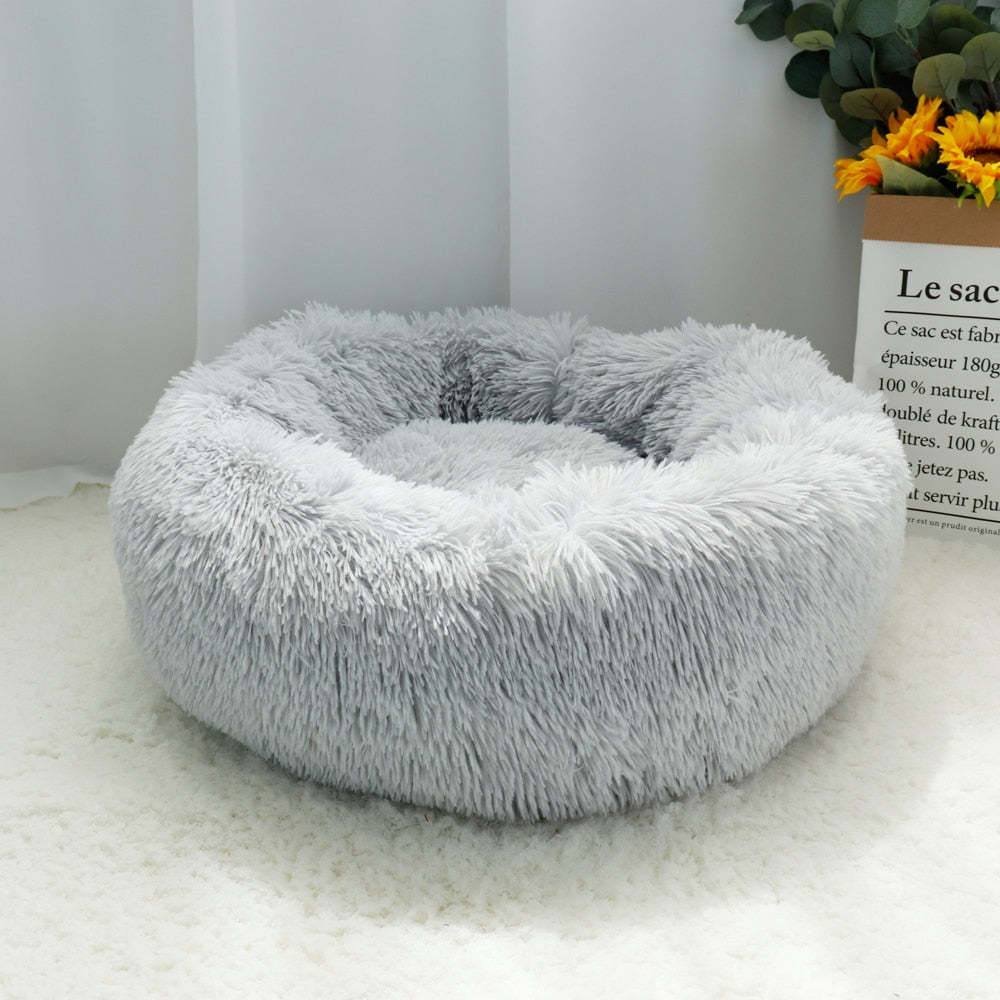 French Bulldog Calming Bed